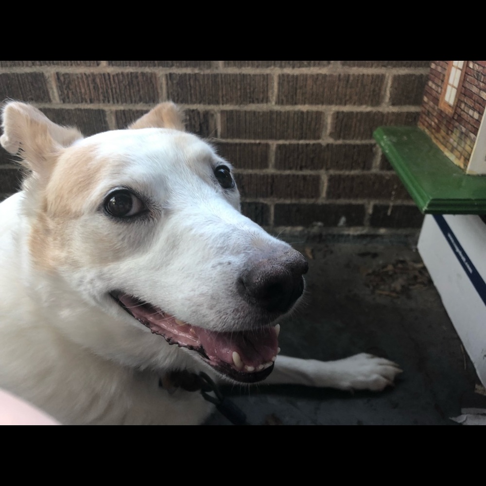 Meet your Posher, Meri kay